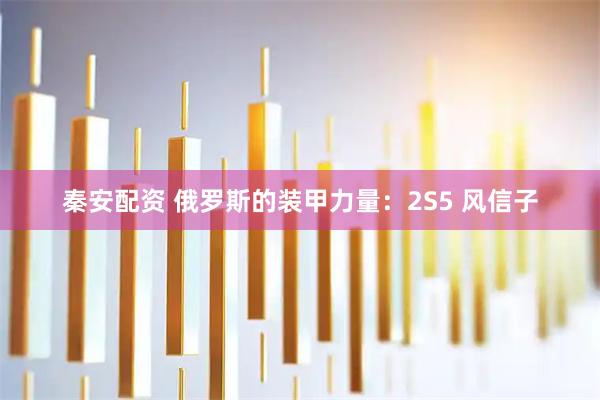 秦安配资 俄罗斯的装甲力量：2S5 风信子