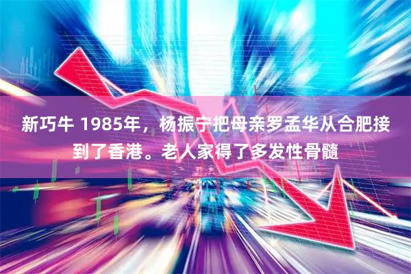 新巧牛 1985年，杨振宁把母亲罗孟华从合肥接到了香港。老人家得了多发性骨髓